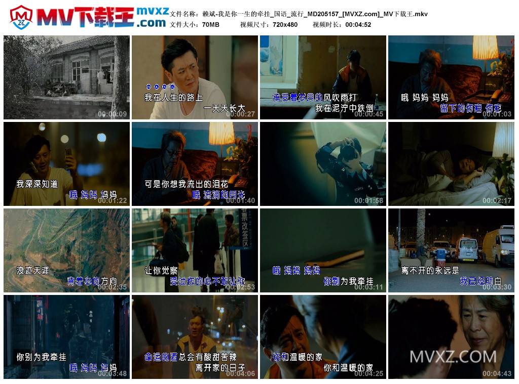 赖斌-我是你一生的牵挂_国语_流行_MD205157